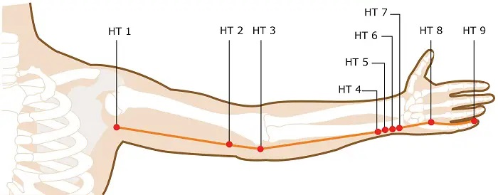 Chinese Medicine Diagnosis-Heart Meridian Points