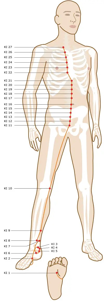 Chinese Medicine Diagnosis-Kidney meridian Points
