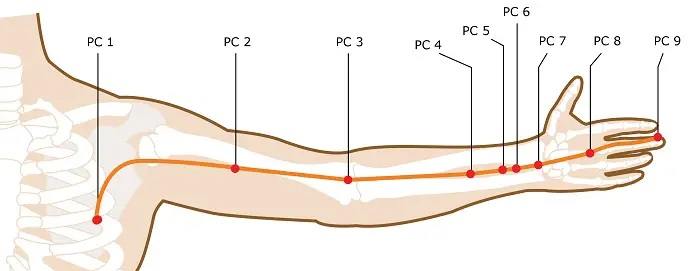 Chinese Medicine Diagnosis-Pericardium Meridian Points