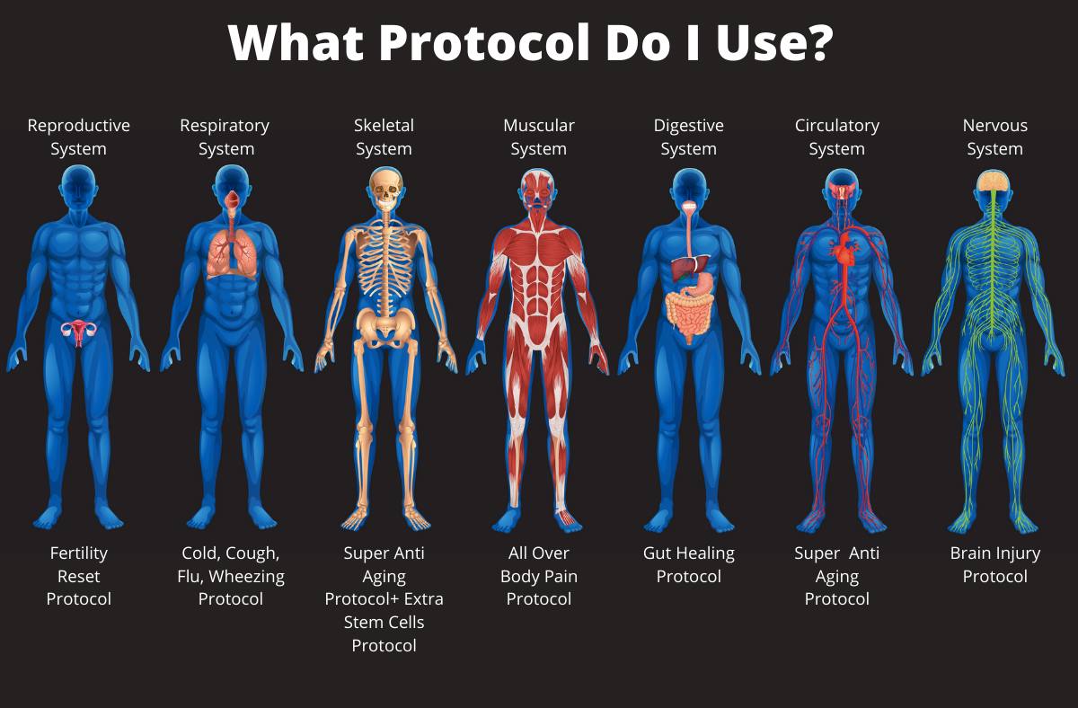 Chinese Medicine Diagnosis-What Protocol?