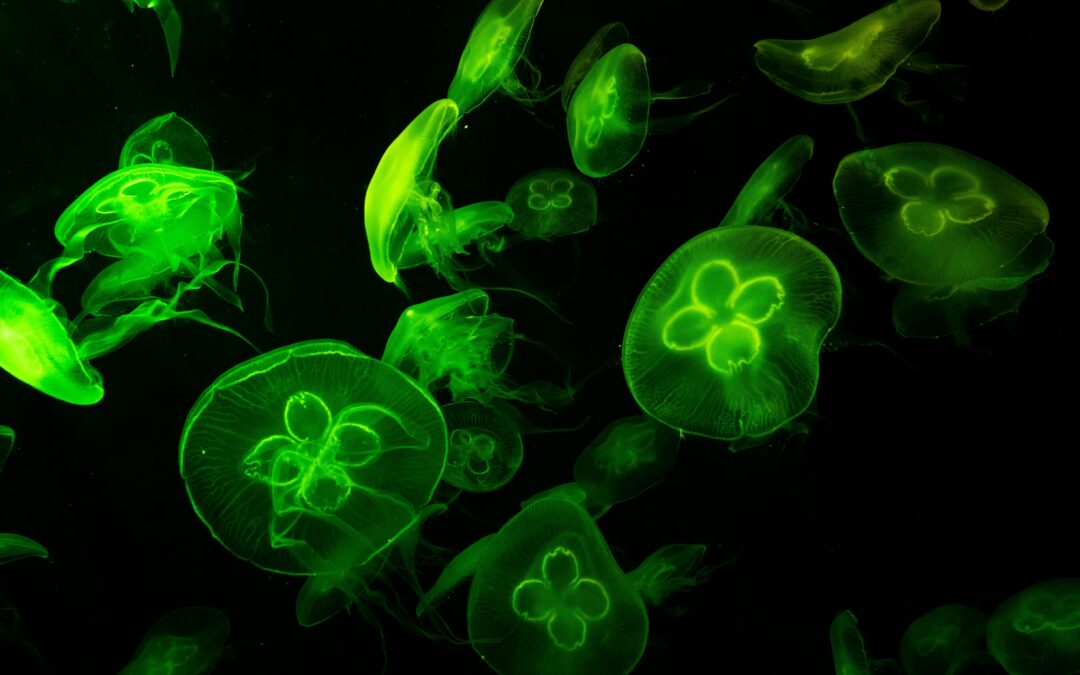 Peptides for Optimal Health