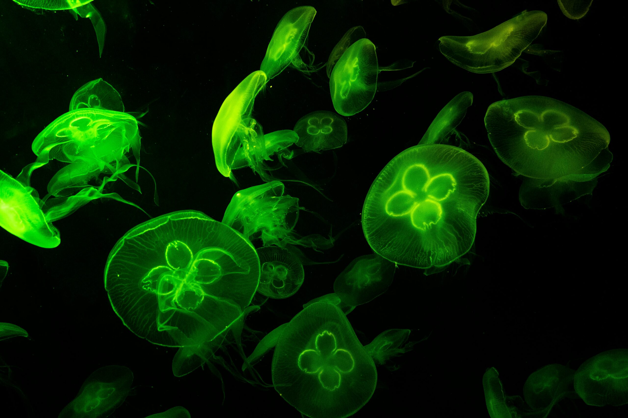 Peptides for Optimal Health